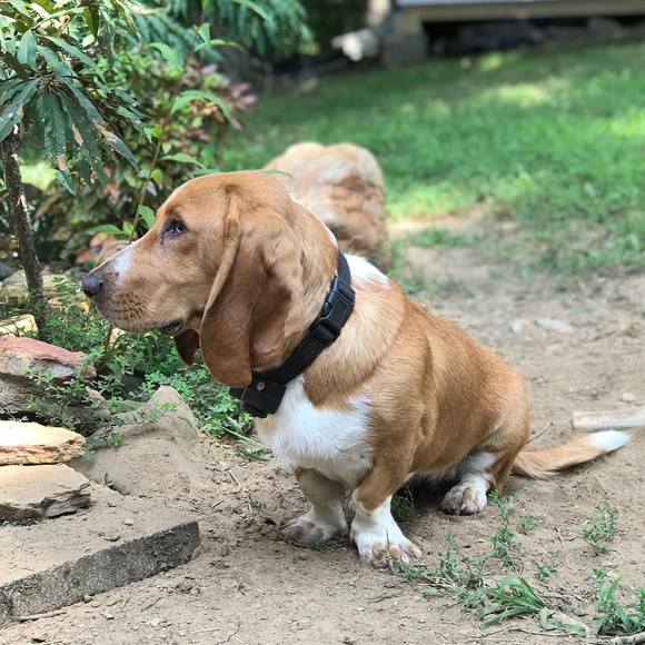 Meet your Posher, Andria - Picture 1 of 1